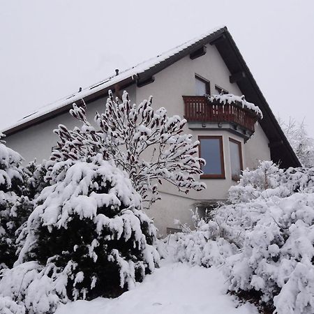 Ferienwohnnung Ruth - Familienurlaub Im Erzgebirge Apartamento Langenbach  Exterior foto